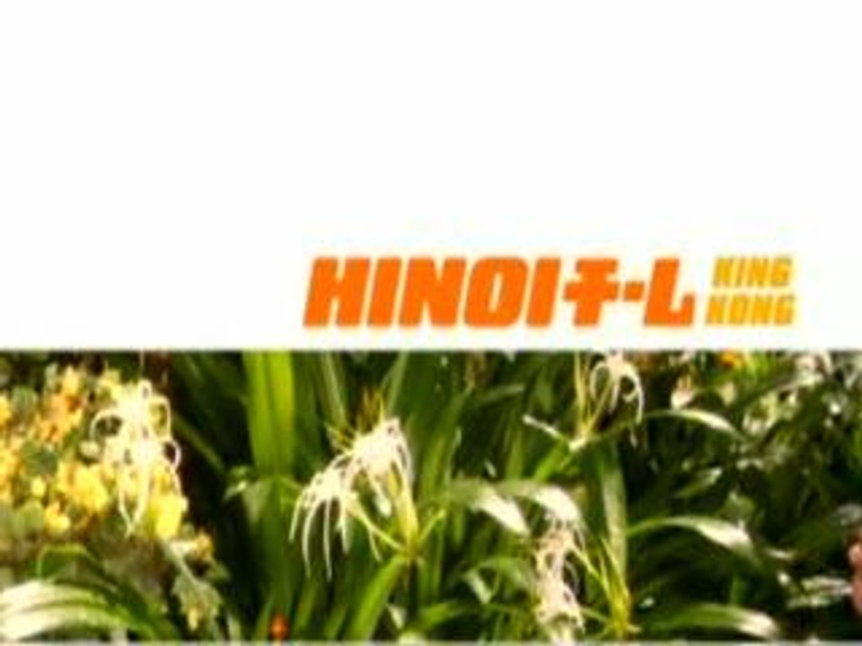 Hinoi Team King Kong