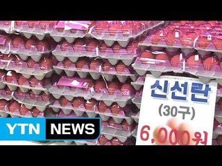 설 앞두고 달걀 할인 판매장 '북적' / YTN (Yes! Top News)