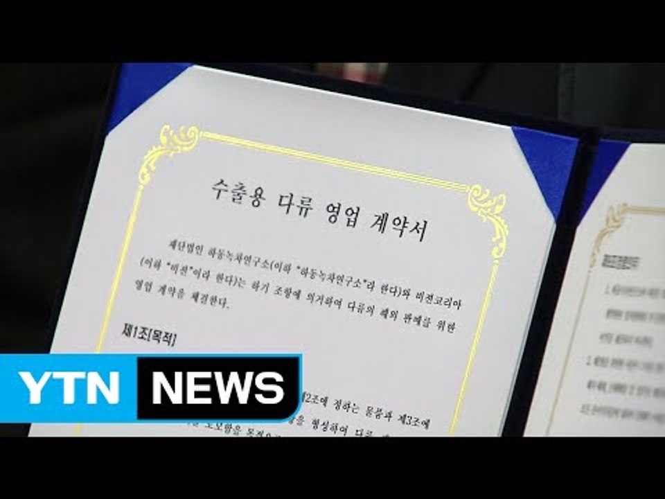 '하동 녹차' 세계 스타벅스 매장에서 판매 / YTN (Yes! Top News)