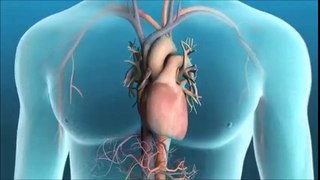 операция сердца | порок сердца операция | шунтирование сердца цена