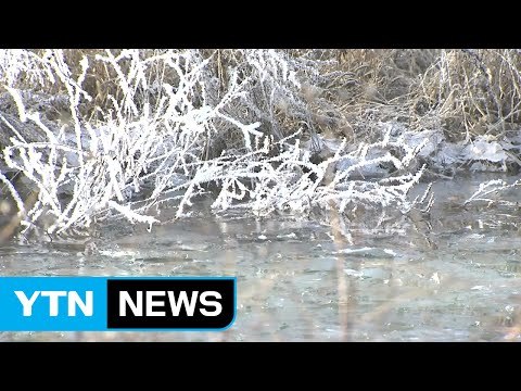 [날씨] 전국이 꽁꽁...한파특보 속 맹추위 계속 / YTN (Yes! Top News)