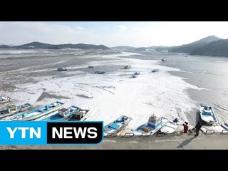 바닷물도 얼린 한파...어민 생계 타격 / YTN (Yes! Top News)
