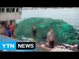 중국어선 신종 불법조업...그물 쳐 놓고 고기만 빼간다 / YTN (Yes! Top News)