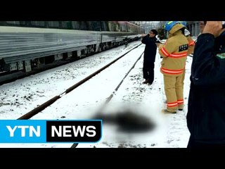 "독수리가 열차에 충돌"...진주행 ITX '고장' / YTN (Yes! Top News)