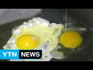 미국산 달걀 내일부터 대형마트 판매...한판 8,490원 / YTN (Yes! Top News)