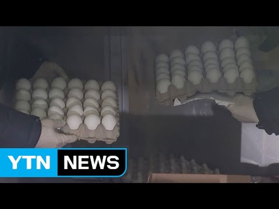 미국산 달걀 표본 도착...다음 주 본격 유통 / YTN (Yes! Top News)