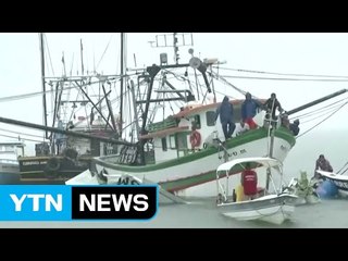 브라질 소형비행기 추락...권력부패 사건 주심 대법관 사망 / YTN (Yes! Top News)
