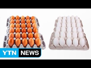 [뉴스인] 흰색과 갈색, 달걀색은 왜 다를까? / YTN (Yes! Top News)