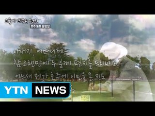 설을 앞두고 고국의 부모님께 보내는 손편지 / YTN (Yes! Top News)