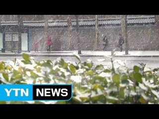 [날씨] 서울에 새해 첫 함박눈...주말 최강 한파 온다 / YTN (Yes! Top News)
