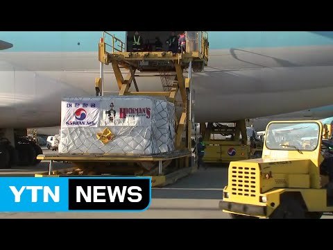 [현장영상] 미국산 달걀 첫 도착...오늘만 320만 개 수입 / YTN (Yes! Top News)