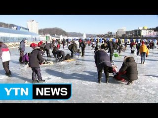 "추울수록 더 좋다"...평창 송어축제 인산인해 / YTN (Yes! Top News)