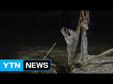 [날씨] 새해 들어 가장 추운 출근길...전국이 꽁꽁 / YTN (Yes! Top News)