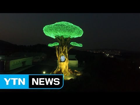 평창올림픽 성공 기원 '생명의 나무' 점등 / YTN (Yes! Top News)