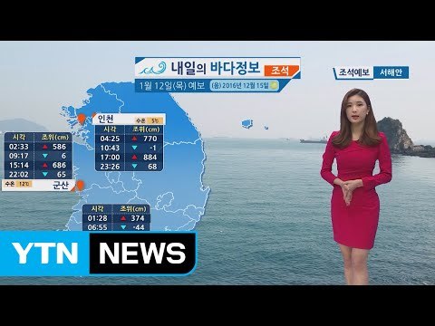 [내일의 바다정보] 1월 12일 다음 주까지 강풍주의보, 풍랑주의보 이어져 안전 주의 바람 / YTN (Yes! Top News)