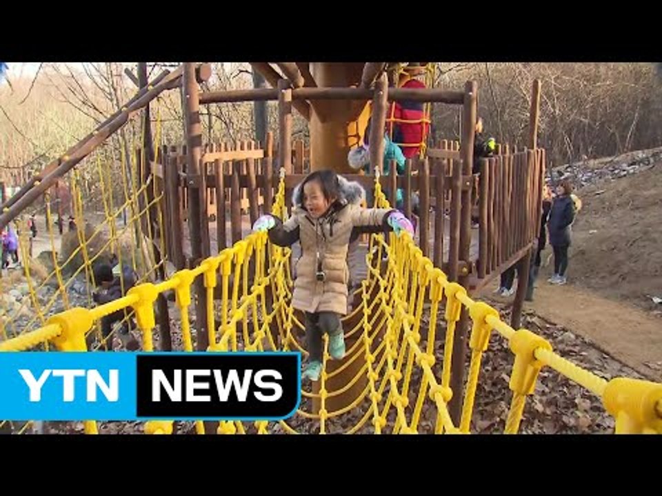 모닥불 피우고 산 타고...모험놀이터 생겼다 / YTN (Yes! Top News)