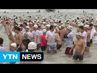 한겨울 바다에 '풍덩'...북극곰 수영축제 / YTN (Yes! Top News)