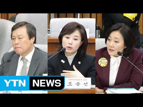 최순실 국정농단 국정조사 7차 청문회 (17) / YTN (Yes! Top News)