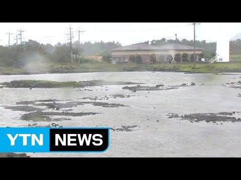 [날씨] 오늘 전국 겨울비...비 그친 뒤 한파 찾아와 / YTN (Yes! Top News)