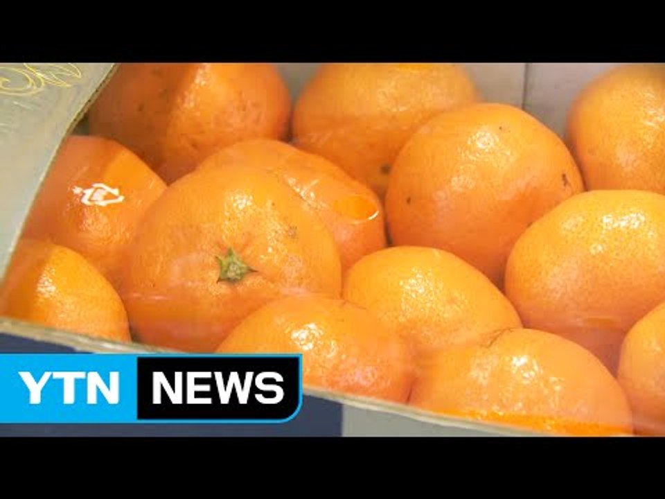 감귤 상품 기준 개선..."당도 기준으로" / YTN (Yes! Top News)