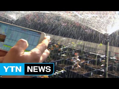 알파고 시대에도 유망한 미래 직업은? / YTN (Yes! Top News)