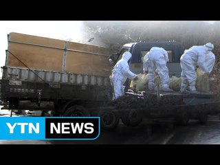 AI 차량 마구잡이 운행...첩첩산중도 뚫려 / YTN (Yes! Top News)