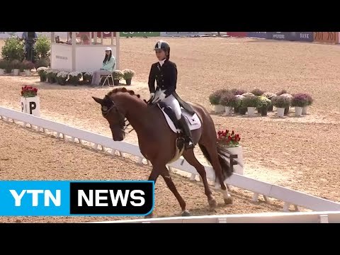 부정 입학에 해외 재산 그리고 삼성 특혜까지... / YTN (Yes! Top News)