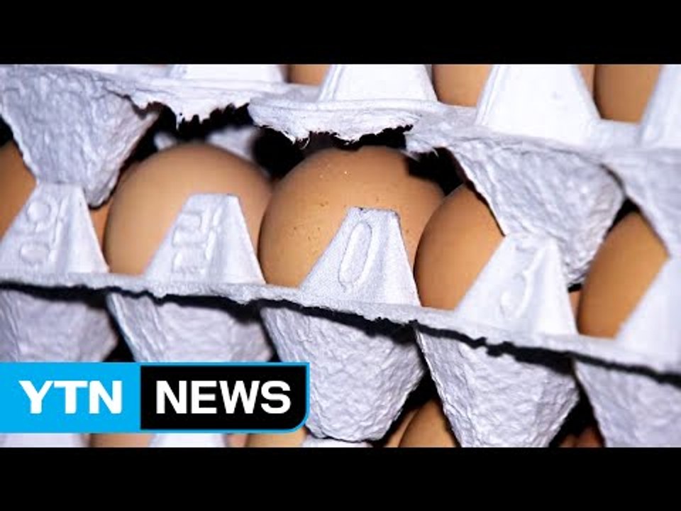 관세 '대폭' 낮춰도 출고가는 '소폭' 인하...달걀 값 떨어질까? / YTN (Ye...