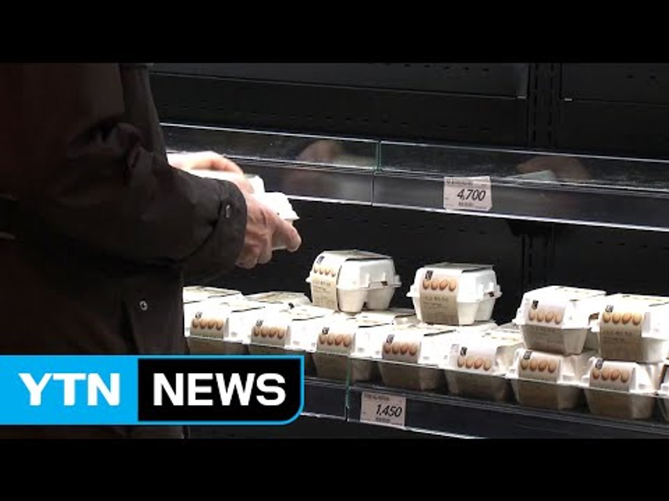 관세 대폭 낮춰도 출고가는 소폭 인하...달걀 값 떨어질까? / YTN (Yes! T...