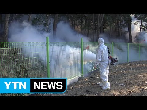 [부산] 농림부 부산 기장군 AI 대응태세 우수 사례로 전파 / YTN (Yes! Top News)