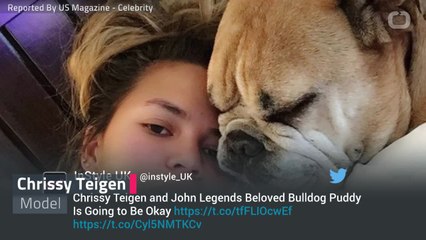Chrissy Teigen’s Dog Survives Heart Failure