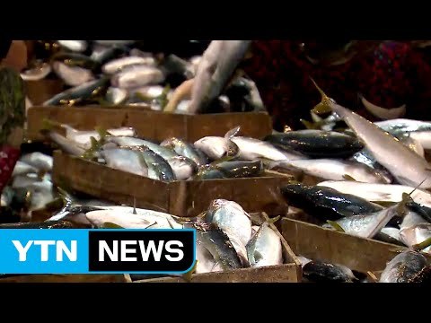 새해 풍어 기원 ...부산공동어시장 첫 경매 / YTN (Yes! Top News)