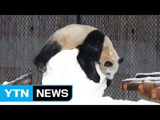 [영상] "나랑 친구하자, 눈사람아" / YTN (Yes! Top News)