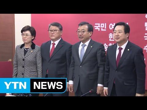 이정현 대표 등 친박 지도부 전격 일괄 사퇴 / YTN (Yes! Top News)