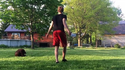 Epic Basketball Skills and Trick Shots-C2geTpDzJYk