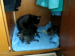 001 - châtons - 01052007