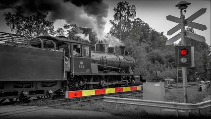 Sifflet de train-vapeur - 30 minutes