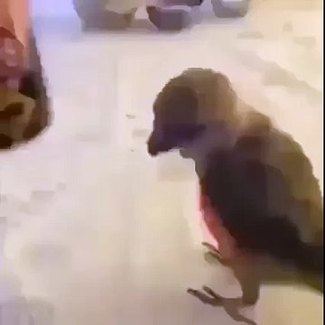 Quand j'envois valser