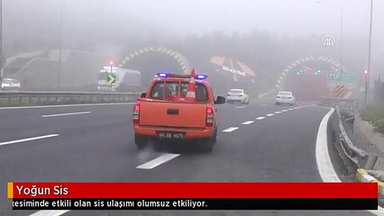 Yoğun Sis