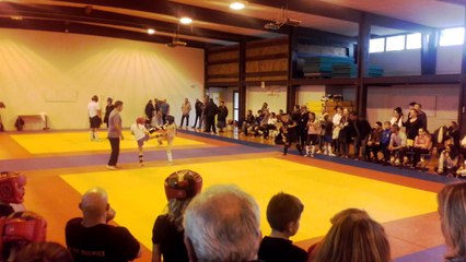 ST SULPICE LA POINTE