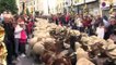 Le défilé des moutons