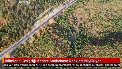 İklimlerin Kesiştiği Kentte Sonbaharın Renkleri Büyülüyor