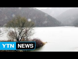 [날씨] 전국 흐리고 비...강원 영서·경기 북부 눈 / YTN (Yes! Top News)