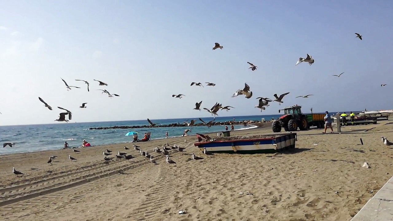 GAVIOTAS - ESTEPONA - JARDIN DE LA COSTA DEL SOL