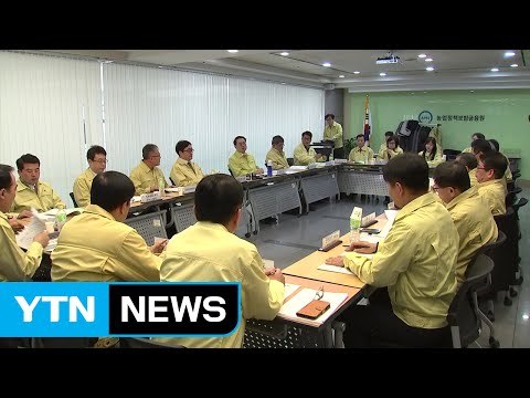 AI 확산 차단...이르면 주말 이동 중지 명령 / YTN (Yes! Top News)