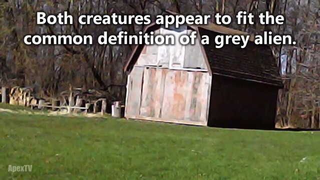 20 Mysterious Creatures Caught on Tape