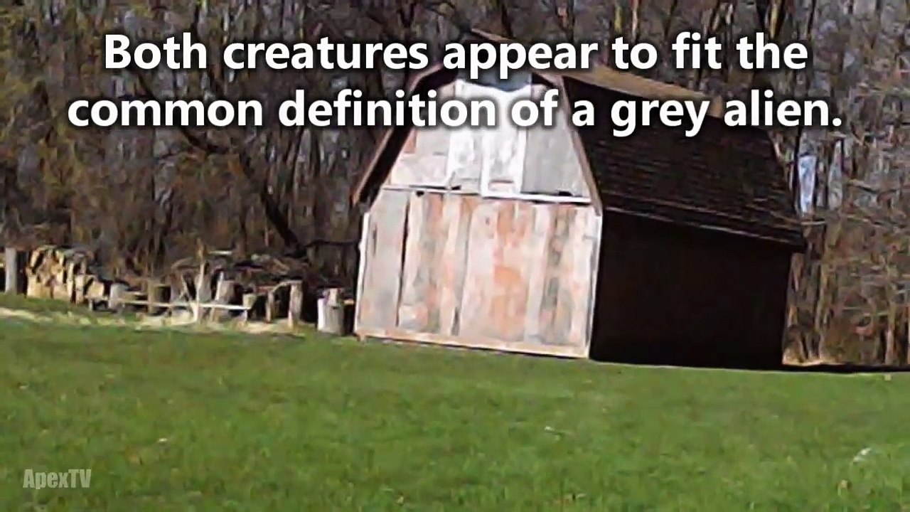 20 Mysterious Creatures Caught on Tape