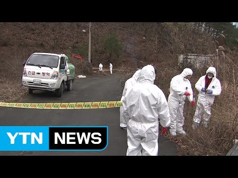 수도권서도 고병원성 확진...AI 바이러스 변이 가능성 우려 / YTN (Yes! Top News)