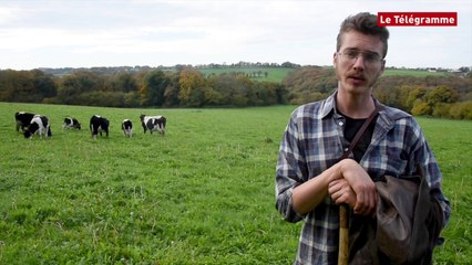 Transhumance. Hadrien traverse la Bretagne par amour