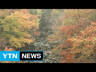 [날씨] 곳곳 미세먼지↑...내일 밤 전국 가을비 / YTN (Yes! Top News)